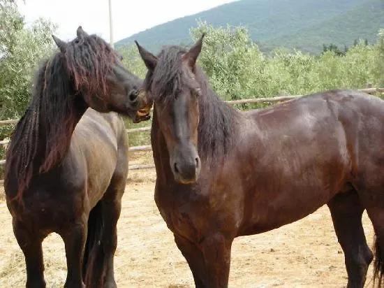 Antica Pinciana Agriturismo Bed & Breakfast Capalbio Italy