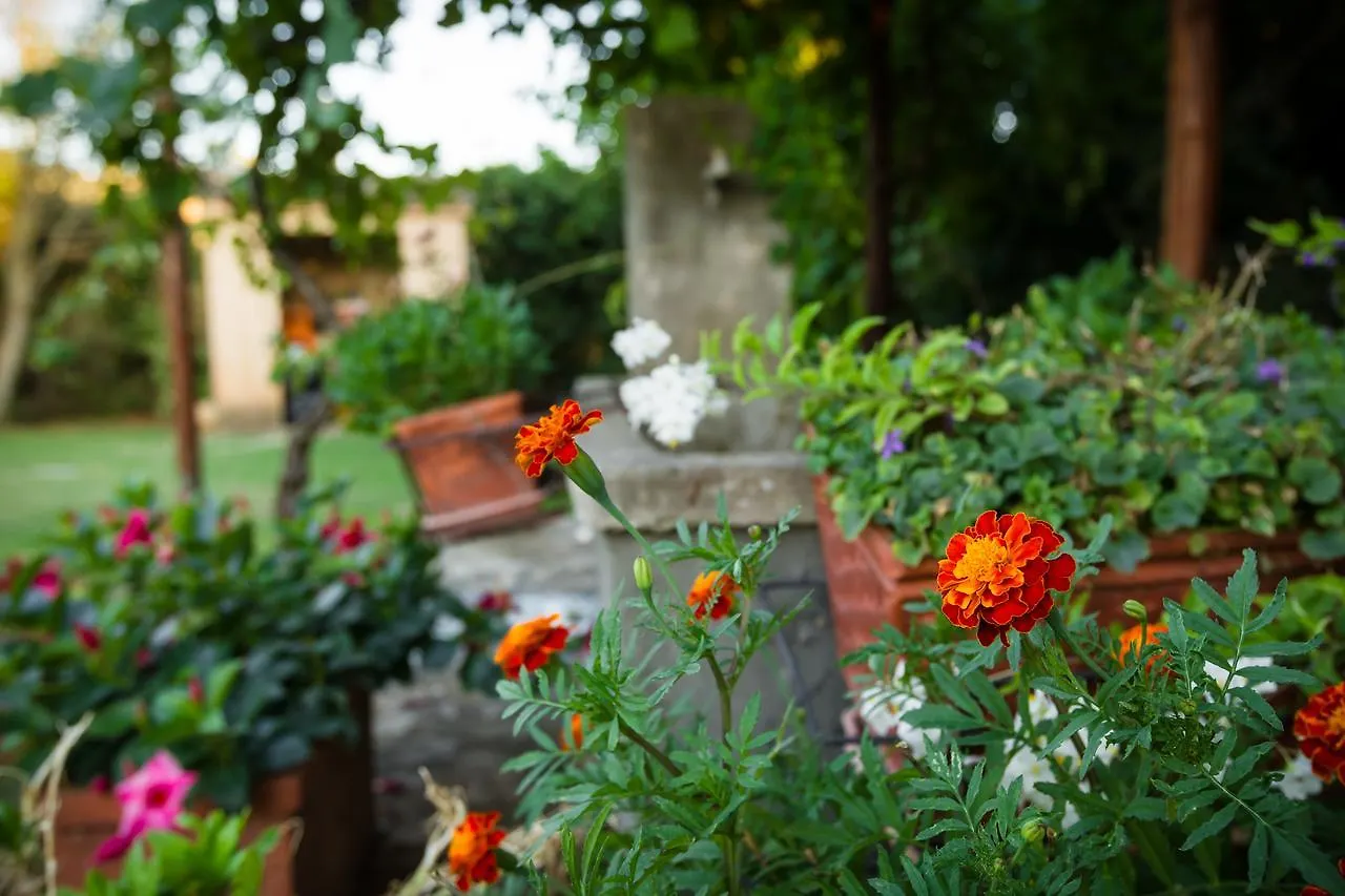 Antica Pinciana Agriturismo Bed & Breakfast Capalbio Italy